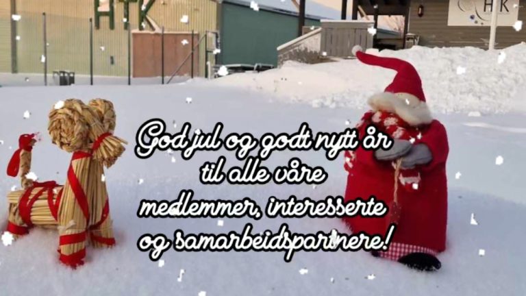 God jul og godt nytt år!
